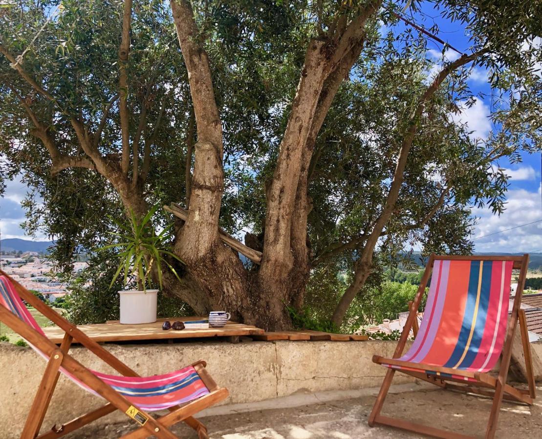 Вілла Casa Anneli - Relaxing Under The Olive Tree Алжезур Екстер'єр фото